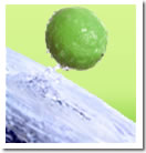 splashing lime