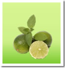 refreshing zested lime